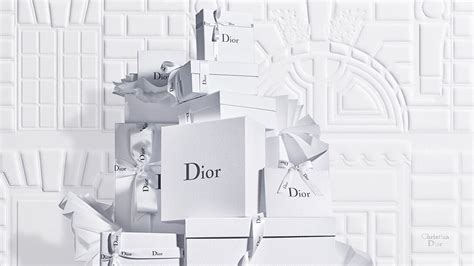 brands dior|dior official website.